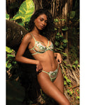 Roma Confidential Daisy Tease Embroidered Daisy Lace & Stretch Satin 2 pc Set - Green LG - Image 3
