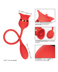 French Kiss French Kiss Casanova - Red - Image 5