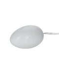 Pocket Exotics Pocket Exotics Egg - Ivory - Image 4