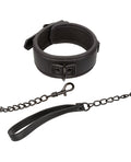 Nocturnal Nocturnal Collection Detachable Collar & Leash - Black - Image 2