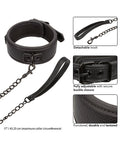 Nocturnal Nocturnal Collection Detachable Collar & Leash - Black - Image 4