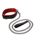 Saffron Saffron Leash & Collar - Image 2