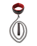 Saffron Saffron Leash & Collar - Image 3