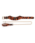Sincerely Amber Sincerely Amber Collar & Leash - Image 4