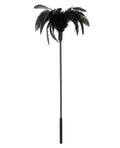 Sportsheets Sportsheets Body Tickler Starburst Feather - Black - Image 2