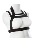 Gender Fluid Gender Fluid Majesty Harness - XL-XXXL Black - Image 2