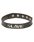 XPlay XPlay Talk Dirty to Me Collar - Slave
