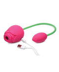 Inmi Inmi Bloomgasm 5X Suction Rose Duet - Pink - Image 4