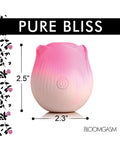 XRAH387-Pink