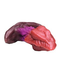 Creature Cocks Creature Cocks - Creature Silicone Butt Plug - Large